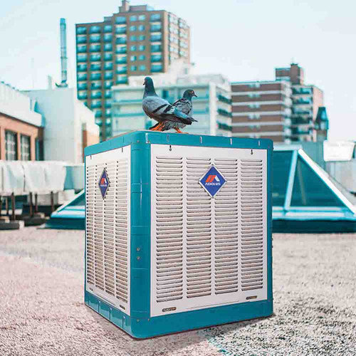 کولر آبی 8000 آدنیس مدل Ct80 موتوژن